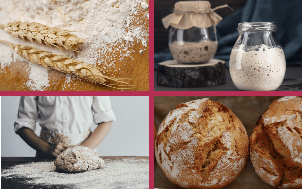 7 Reals of Sourdough Bread Making